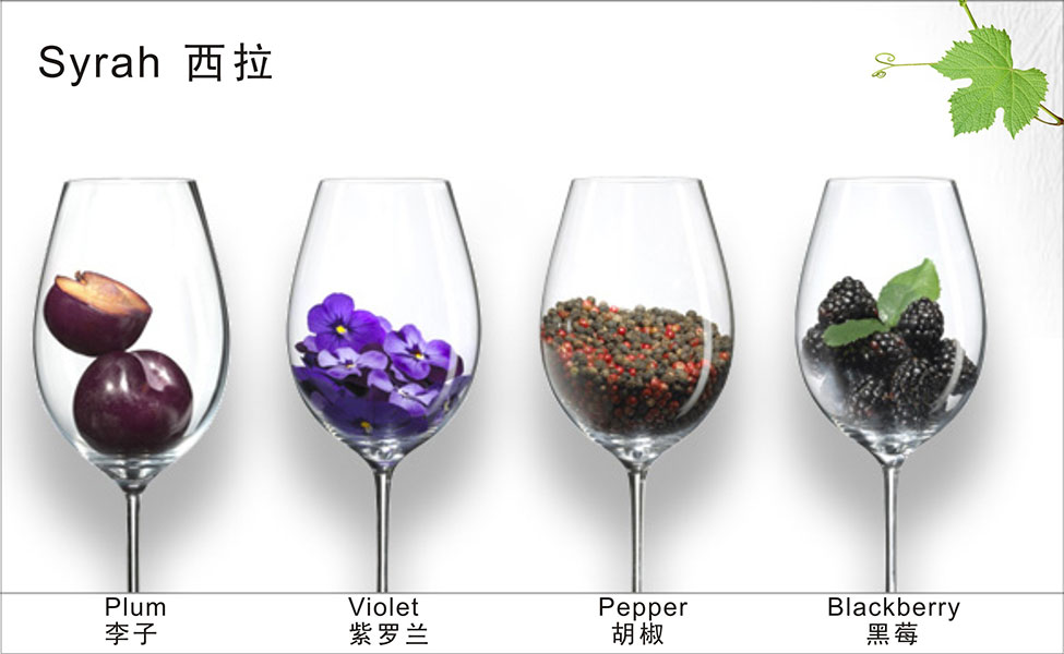 若是品酒的老手,仅从葡萄酒的香气出发,就能判断酒的成熟度与品种