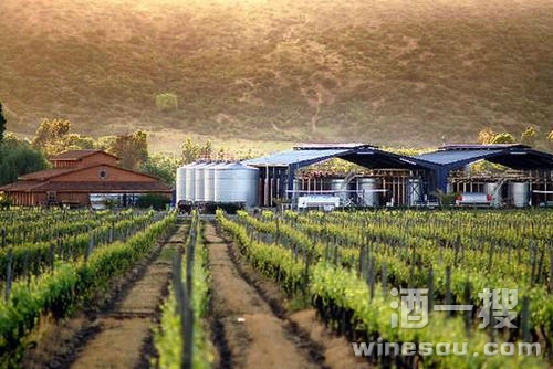 智利：酿酒师的天堂