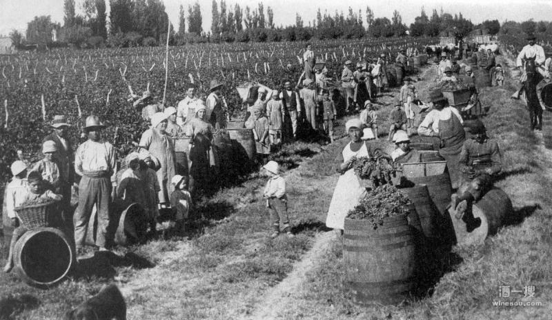阿根廷葡萄酒历史悠久