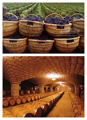 酿造储存出丰满复杂性的葡萄酒