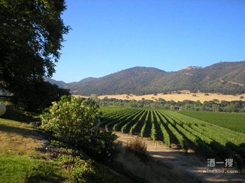 富邑葡萄酒集团（TWE）重整在加州生产运营