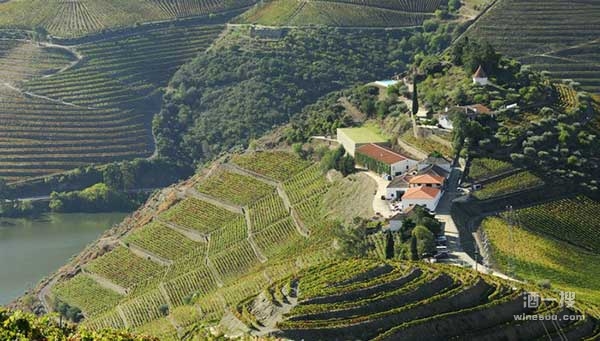 2016年葡萄牙葡萄酒生产总量将减产20%