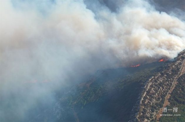 法国朗格多克葡萄酒产区发生了森林大火