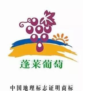 中国首个 “全国海岸葡萄酒产业知名品牌创建示范区” 获批筹建