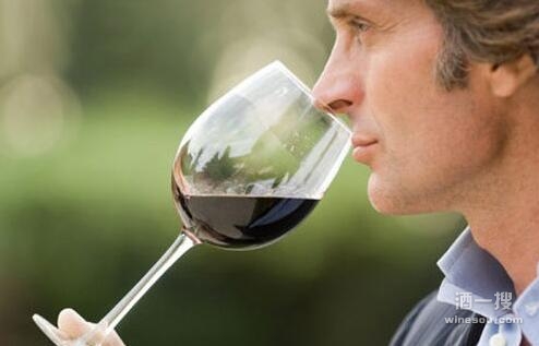 鉴别葡萄酒的重要感官-鼻