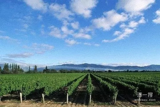 西夏区鼓励葡萄酒企业延伸产业链 强化旅游功能建设