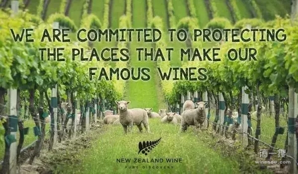 新西兰葡萄种植与葡萄酒酿造协会发布行业可持续发展报告