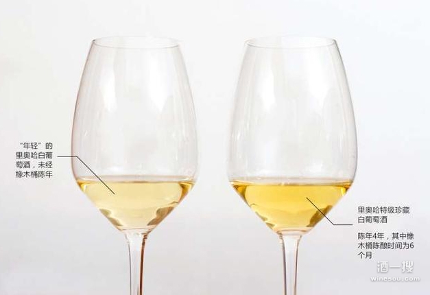 里奥哈白葡萄酒年轻酒体与陈年酒体对比