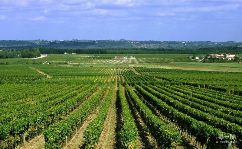 法国是世界最著名的葡萄酒产区