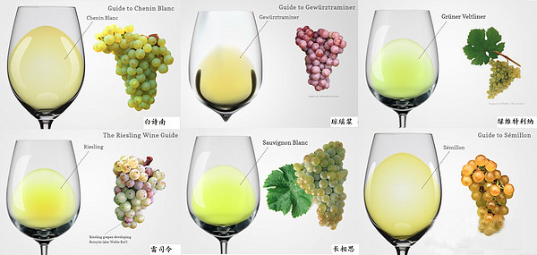 从白葡萄酒颜色看葡萄品种和产地