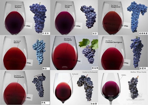 从红葡萄酒颜色看葡萄品种和产地