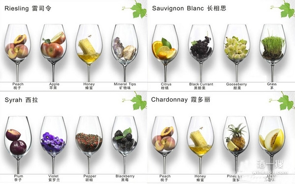 从白葡萄酒香气中判断葡萄品种
