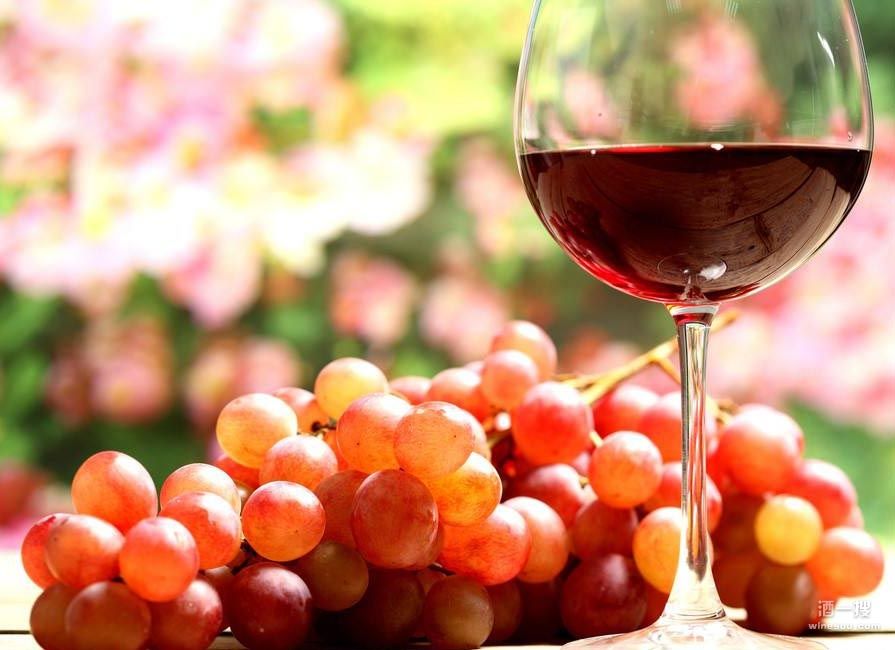 酿造桃红葡萄酒的首选葡萄品种有哪些？
