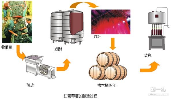 红葡萄酒的酿造流程