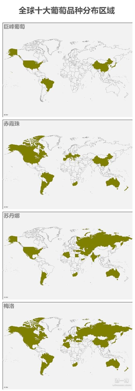 全球十大葡萄品种分布区域