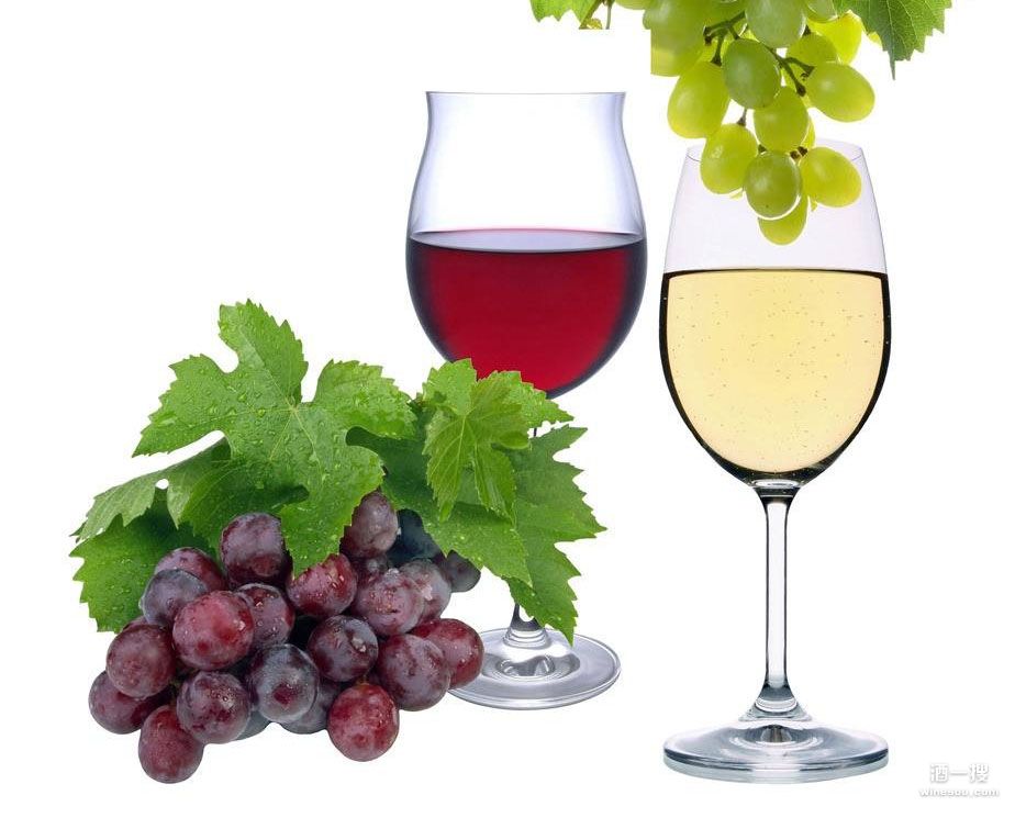 葡萄酒酿造：葡萄汁如何发酵为葡萄酒？