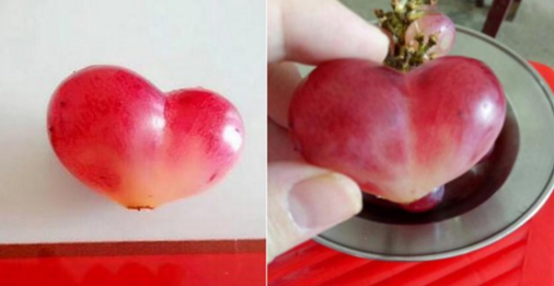 一颗爱心形状的葡萄