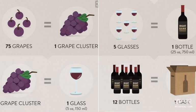 葡萄酒与葡萄计算图解