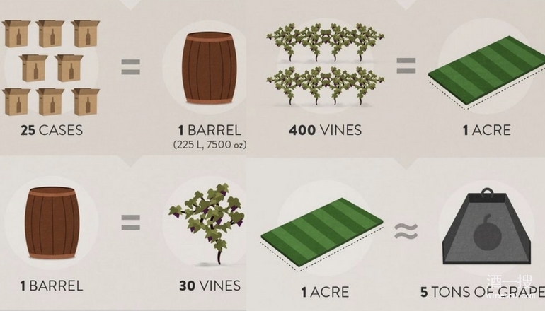 葡萄酒与葡萄计算图解
