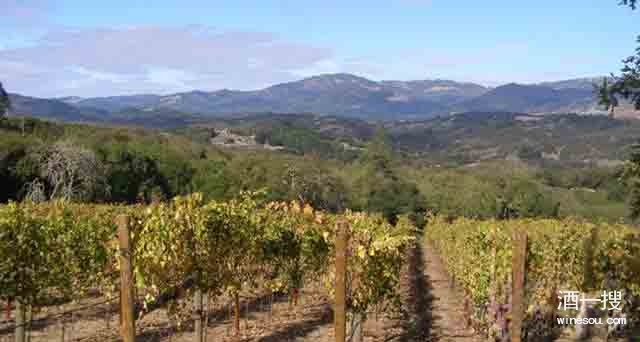 气候变化影响人们对酿酒葡萄品种栽培的选择