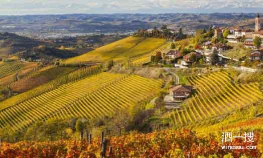 比法国更古老的葡萄酒圣地-意大利