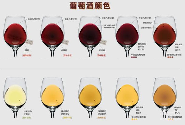品酒第一步：观察葡萄酒澄清度和颜色
