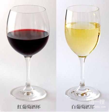红葡萄酒酒杯与白葡萄酒酒杯