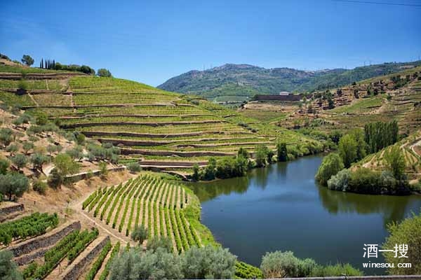 最古老的葡萄酒产区：杜罗河谷