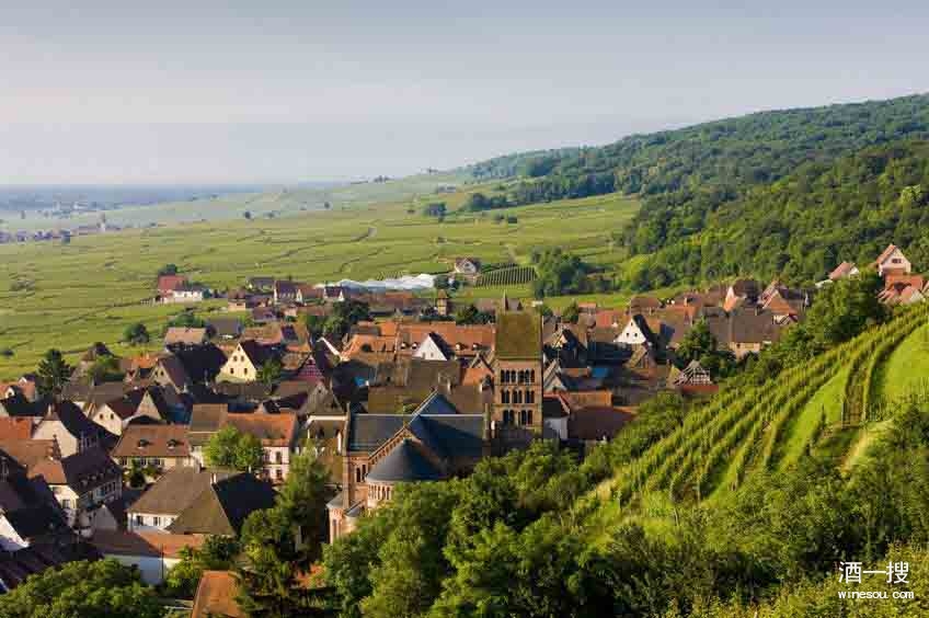 纯净细腻的白葡萄酒圣地- 阿尔萨斯（Alsace）