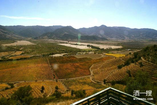 空加瓜谷（Colchagua Valley）