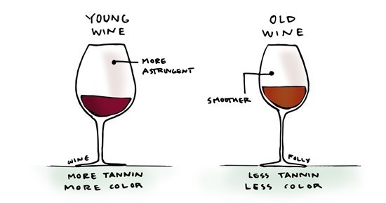 葡萄酒中的单宁