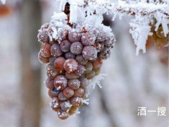 河北省出台三大政策支持葡萄酒产业