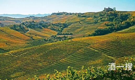 2019年意大利皮埃蒙特大区葡萄酒产量达到3.46亿升